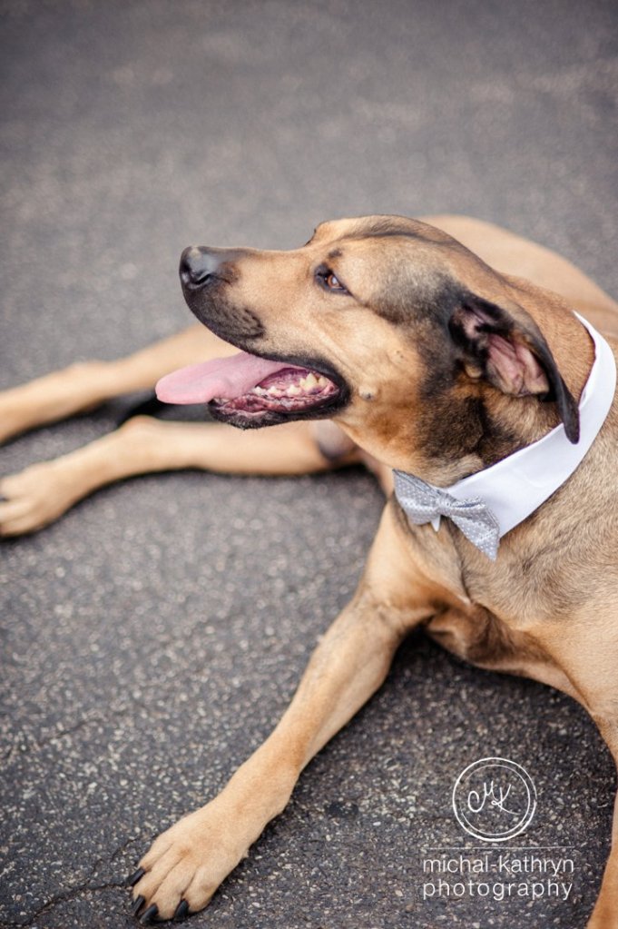 Monroes_restaruant_0888