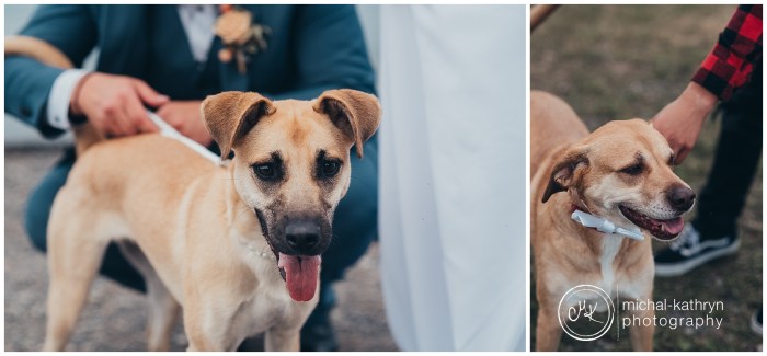 Fingerlakes_Elopement_00078